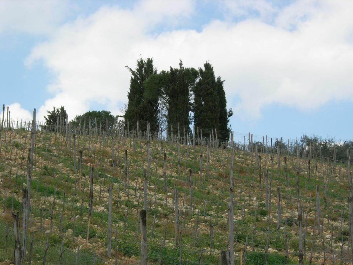 Vila Poggio Borgoni Mercatale Val Di Pesa Exteriér fotografie